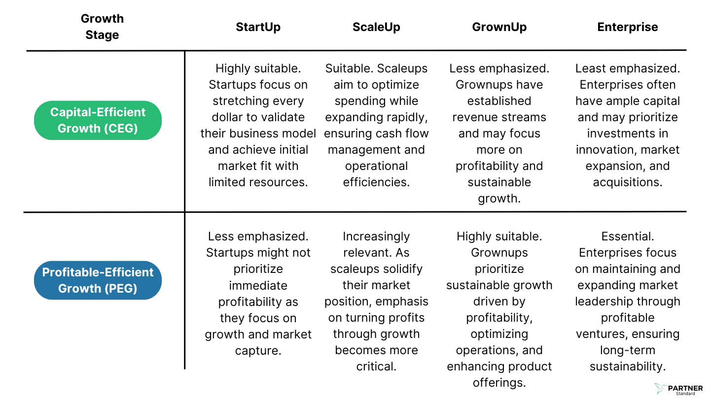Capital-Efficient Growth vs Profitable-Efficient Growth Fit