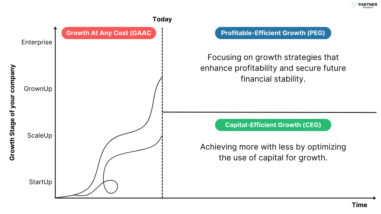 Growth At Any Cost vs Capital-Efficient vs Profitable-Efficient Growth